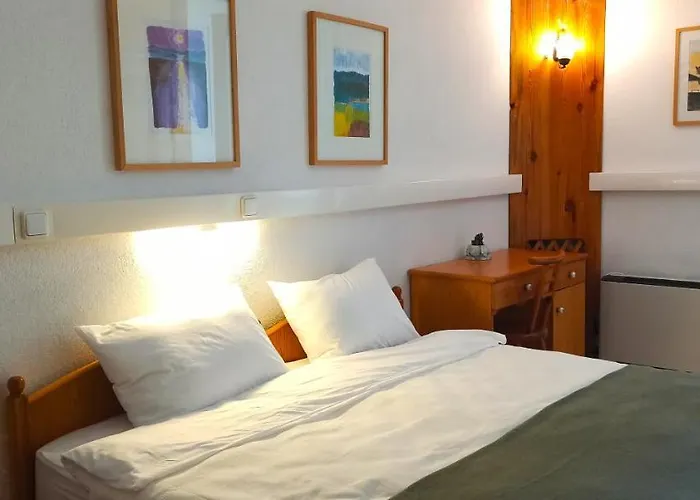Swiss Eviniz (adults Only) 3*