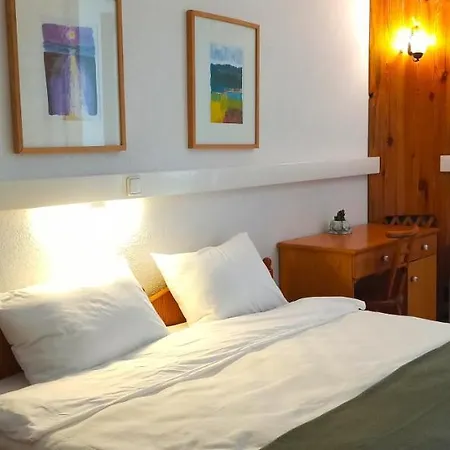 Swiss Eviniz (adults Only) 3*