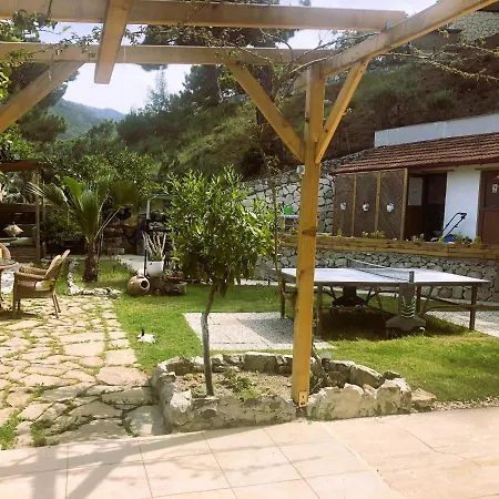 Swiss Eviniz (adults Only) Hotel Adrasan