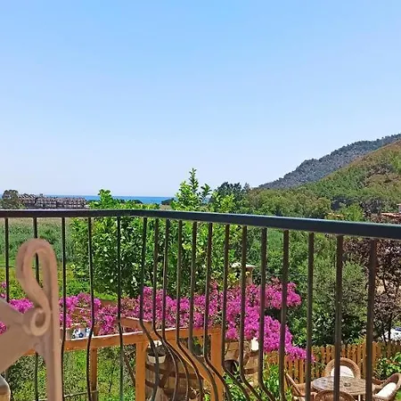 Swiss Eviniz - Adult Otel