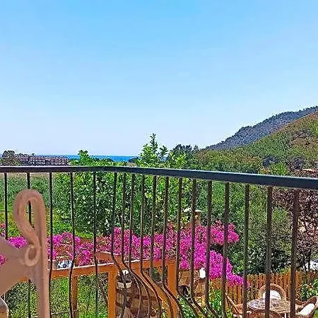 Swiss Eviniz (adults Only) 3* Adrasan