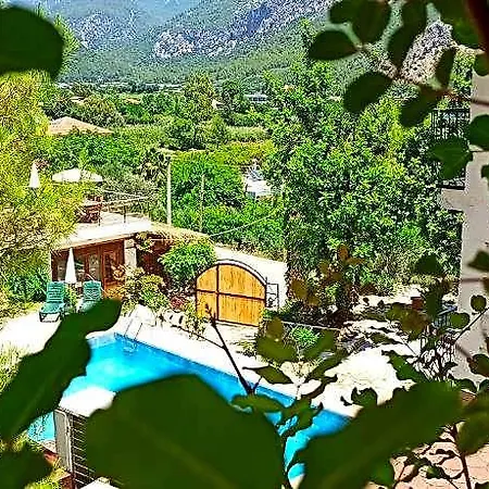 Swiss Eviniz (adults Only) Adrasan