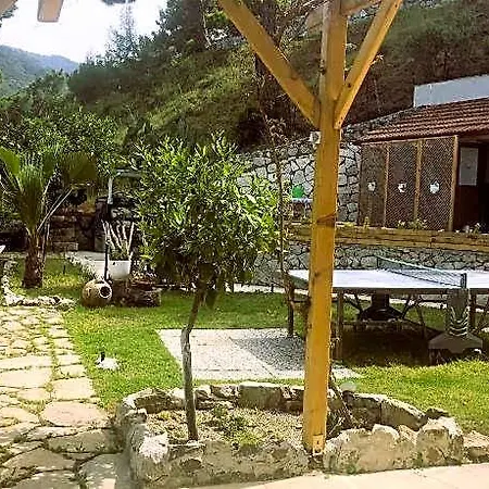 Swiss Eviniz (adults Only) 3* Adrasan